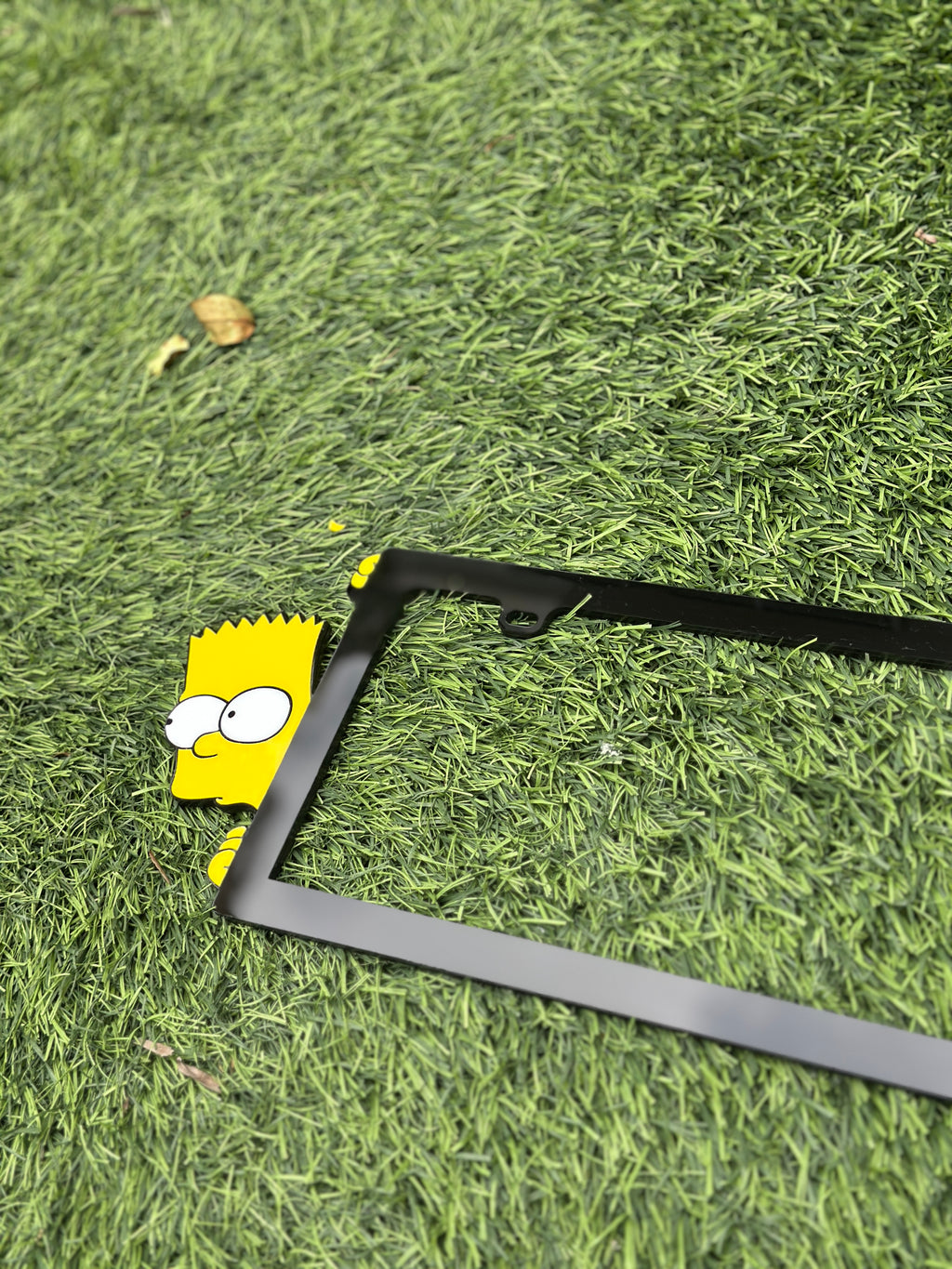 Custom License Plate Frame-    Free Shipping