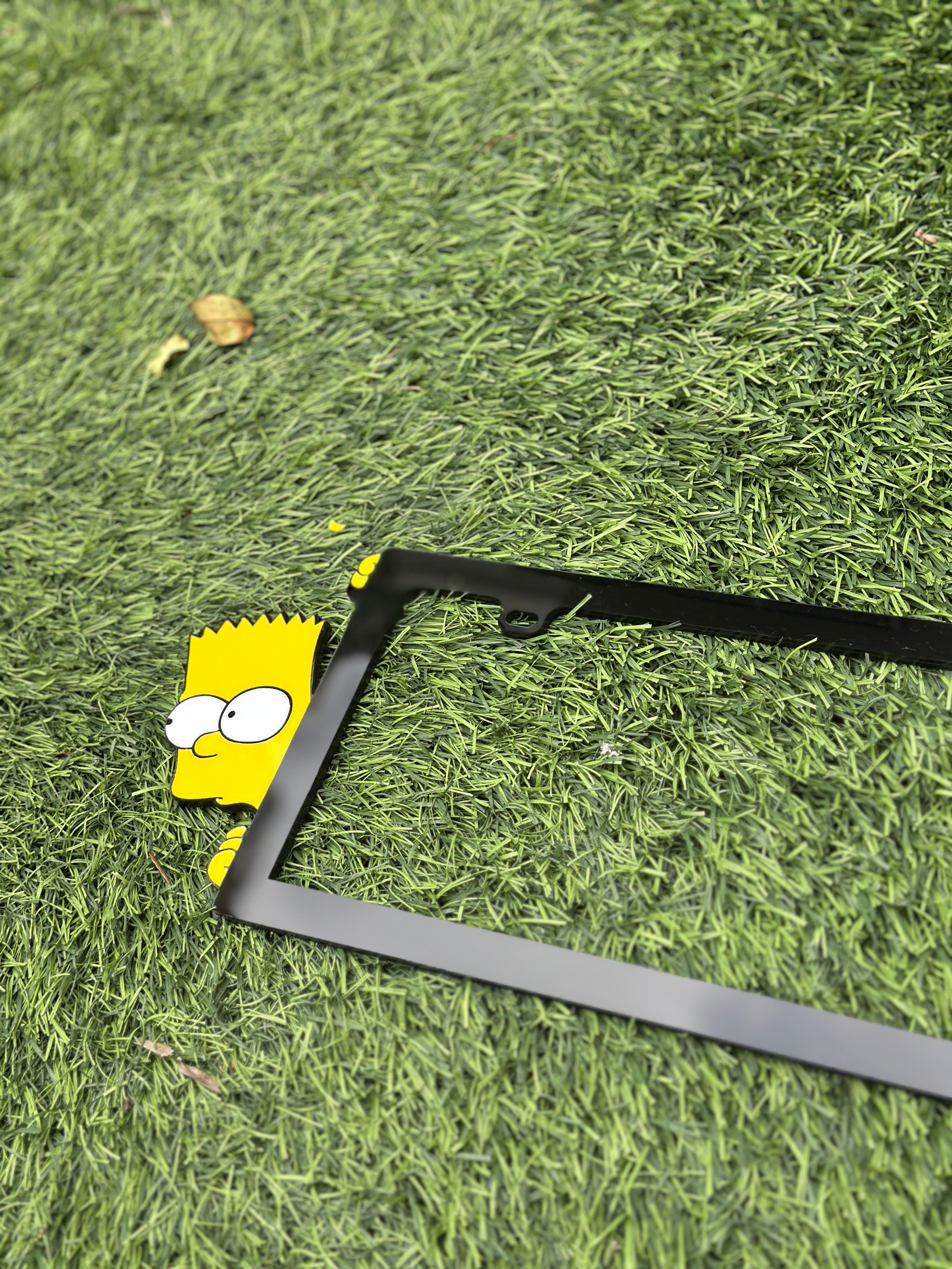 Custom License Plate Frame-    Free Shipping