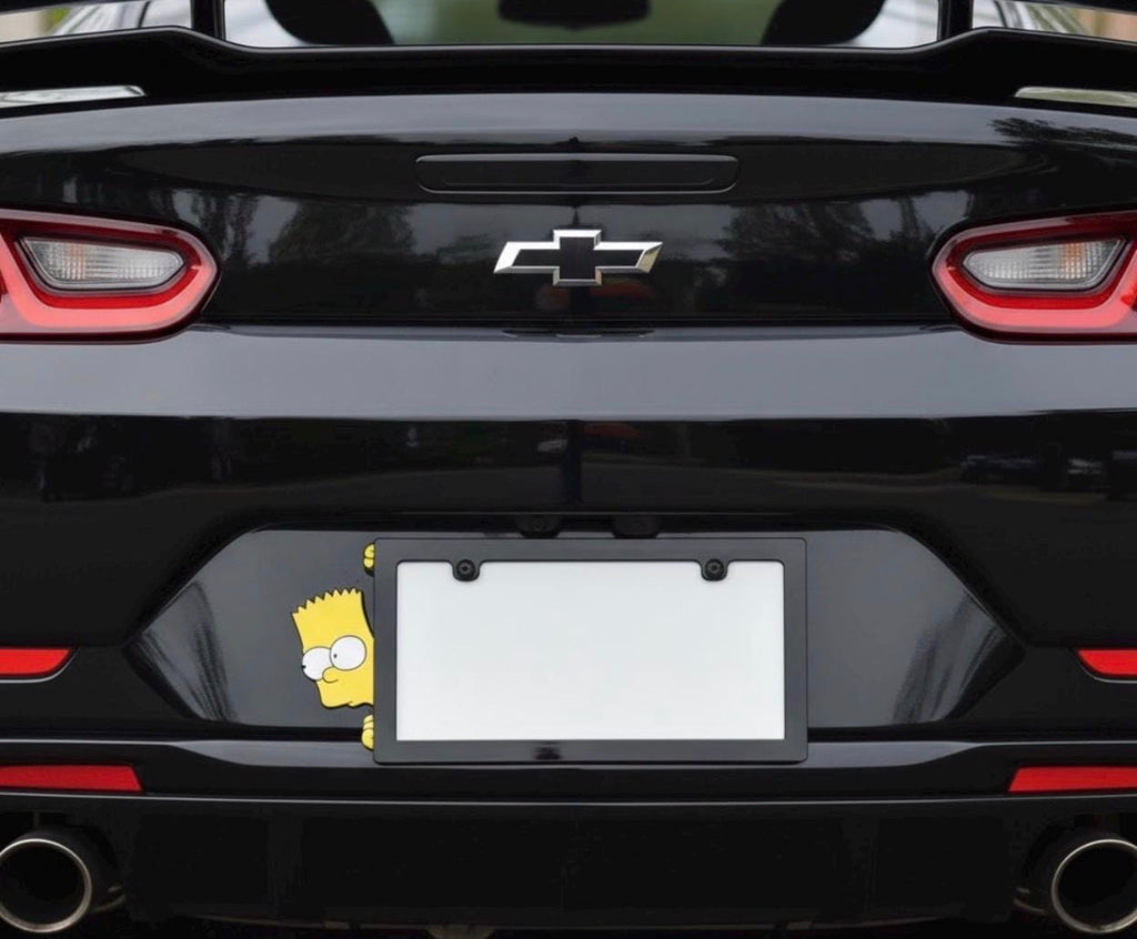 Custom License Plate Frame-    Free Shipping